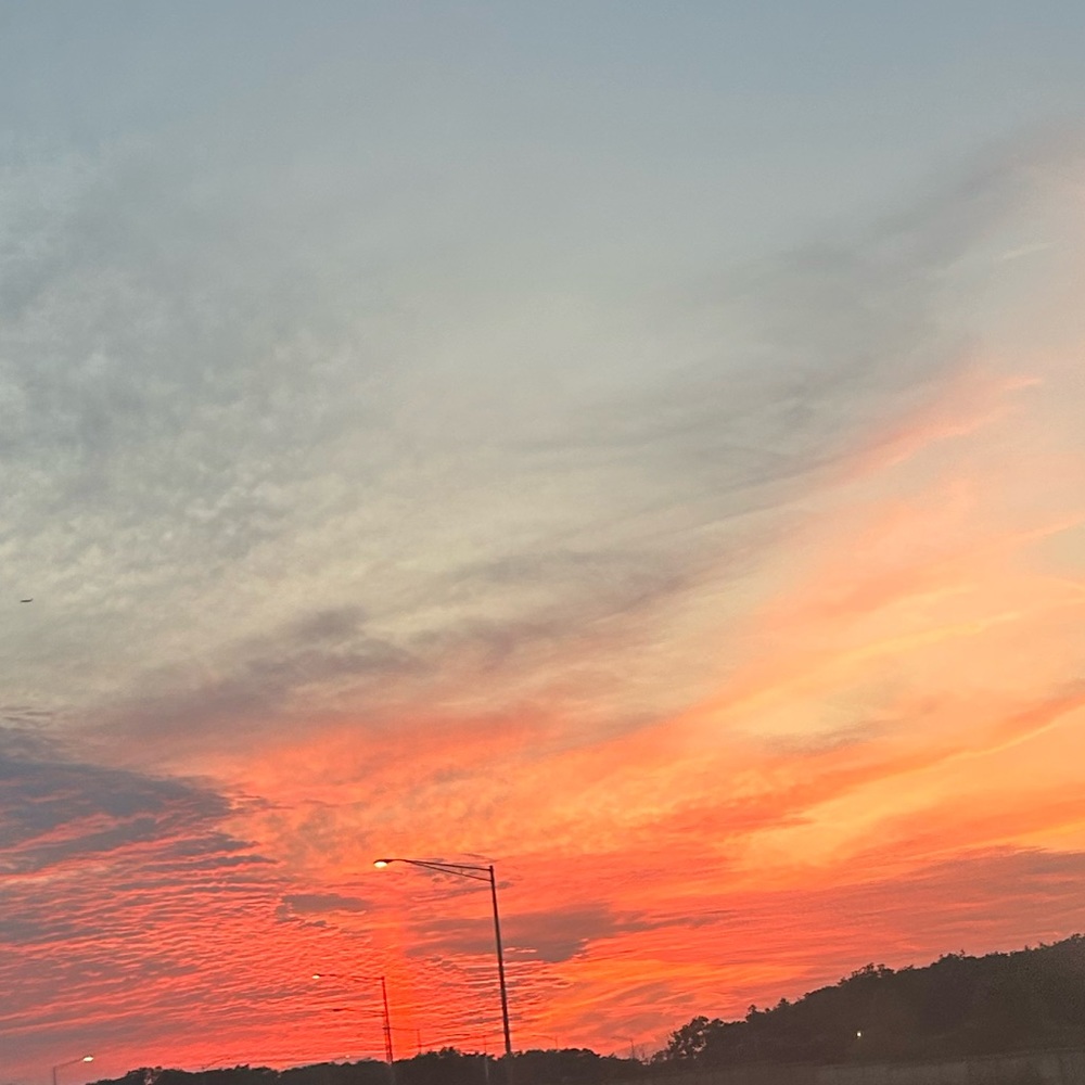 Meet your Posher, Carolyn